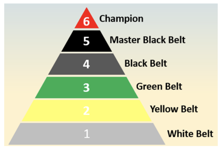 Certified Six Sigma Black Belt (CSSBB) Definition