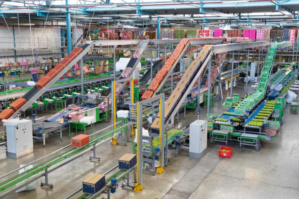 Interior Of Empty Fruit Processing And Packaging Plant