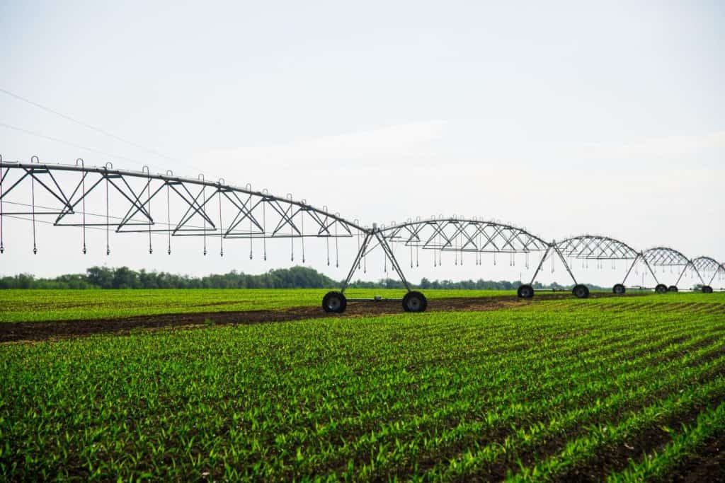 Automated farming irrigation sprinklers system on cultivated agricultural landscape field